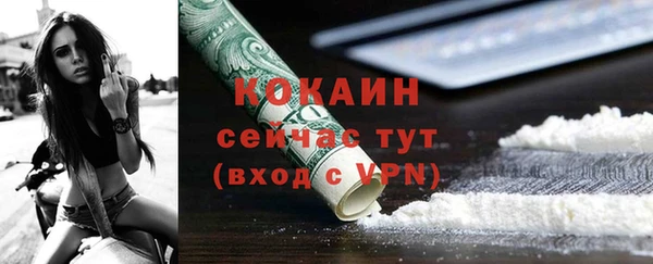 дживик Белокуриха