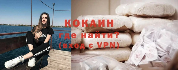 дживик Белокуриха