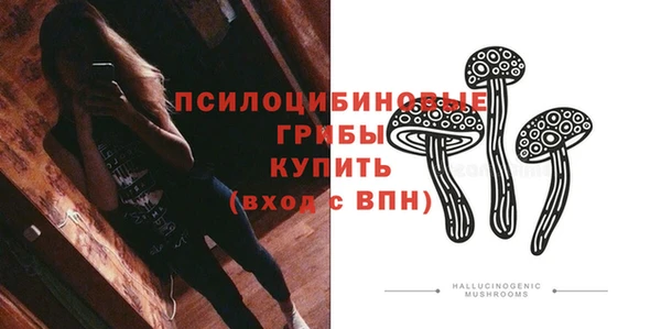 дживик Белокуриха