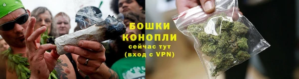 дживик Белокуриха