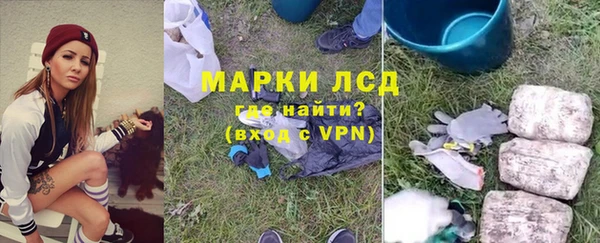 дживик Белокуриха